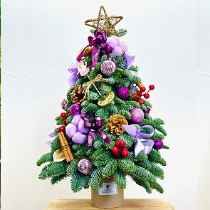 X210 Christmas Tree  ( sold out )